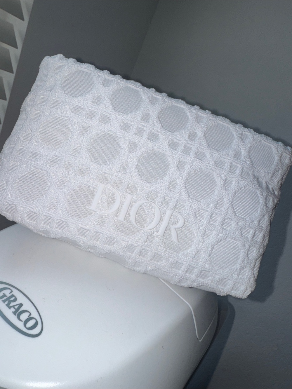 Dior White embroidered pouch
